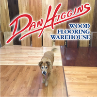 305398122_485430273591512_5948995108096773729_n