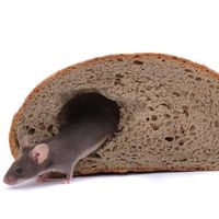 307375284_576484987604479_6776622548390440039_n