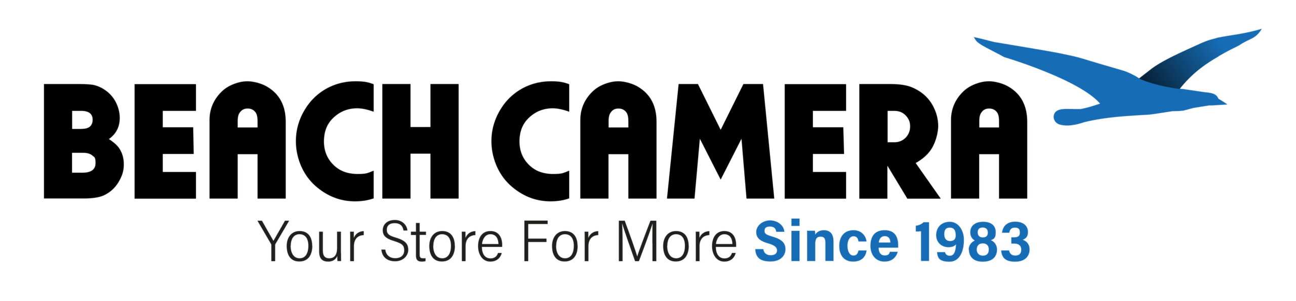 BeachCameraLogo_2025