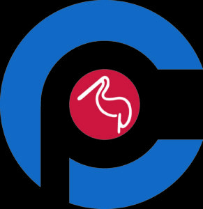 CA24060001815630_logo2_CUS-291x300