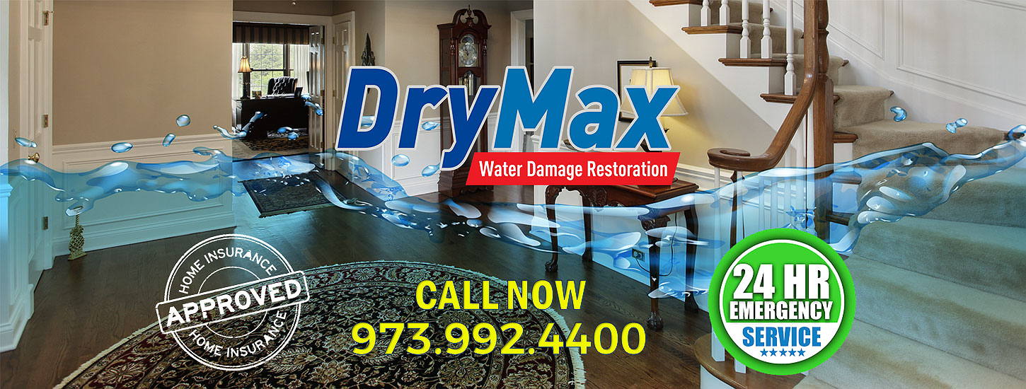 DryMAX-NJ-Water-Restorati