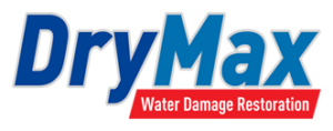 Logo-DM-35-300x118