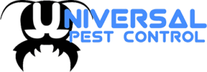 Logo.2301111322481-300x105