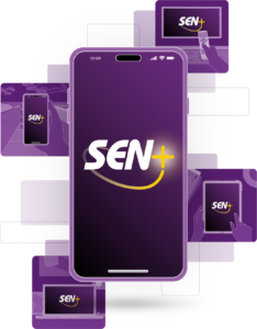 SENDevices-234x300