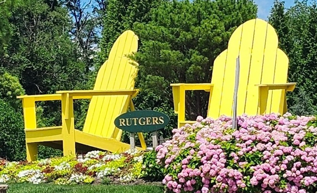 chairs-image