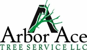 cropped-Arbor_Ace_Logo_JPEG-1-300x173