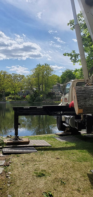 d9d7ce_72261ce8617d4885b986db3747e73638mv2-1