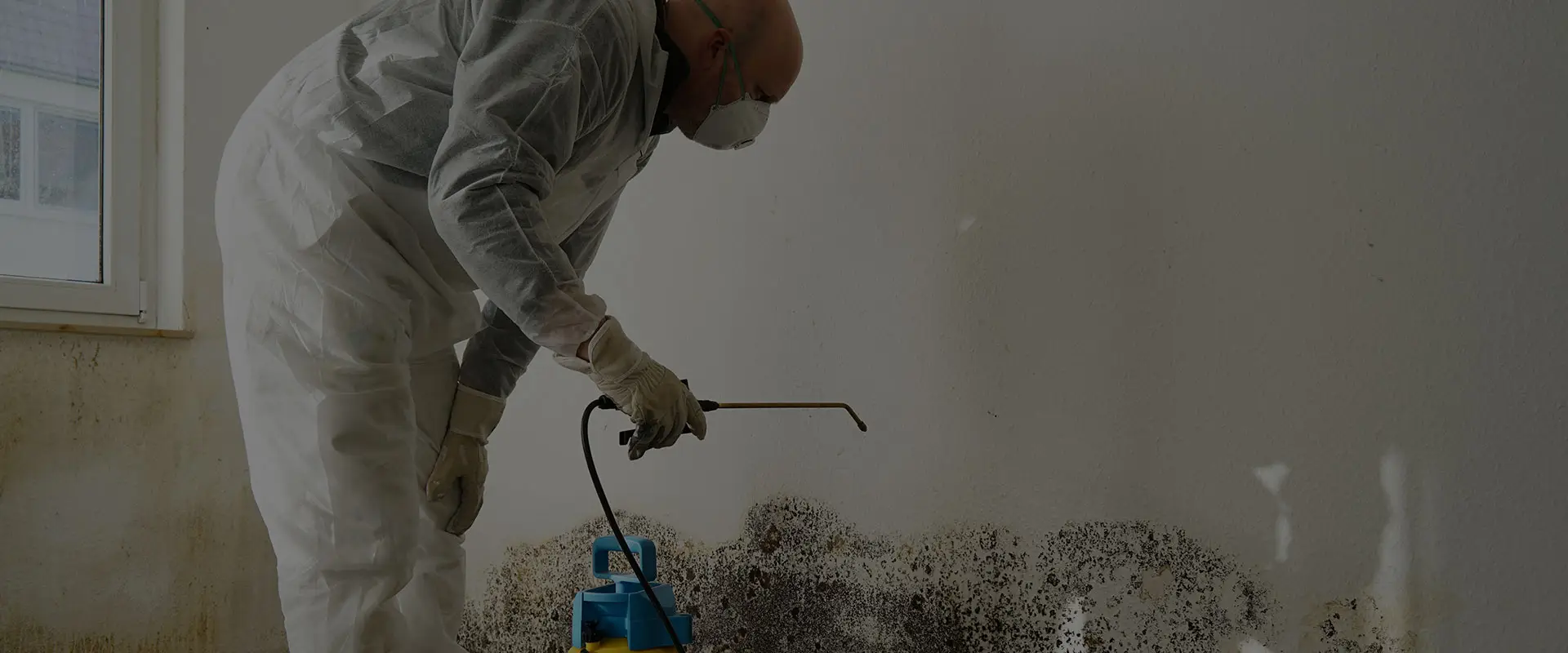 img-mold-remediation