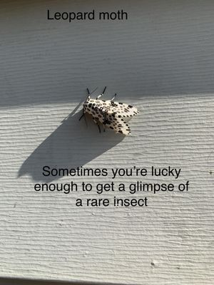 l-2024-01-11T225041.704