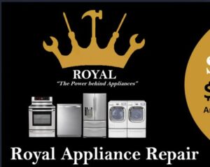 l-2024-01-15T225557.533-1-300x239