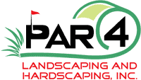 logo-50