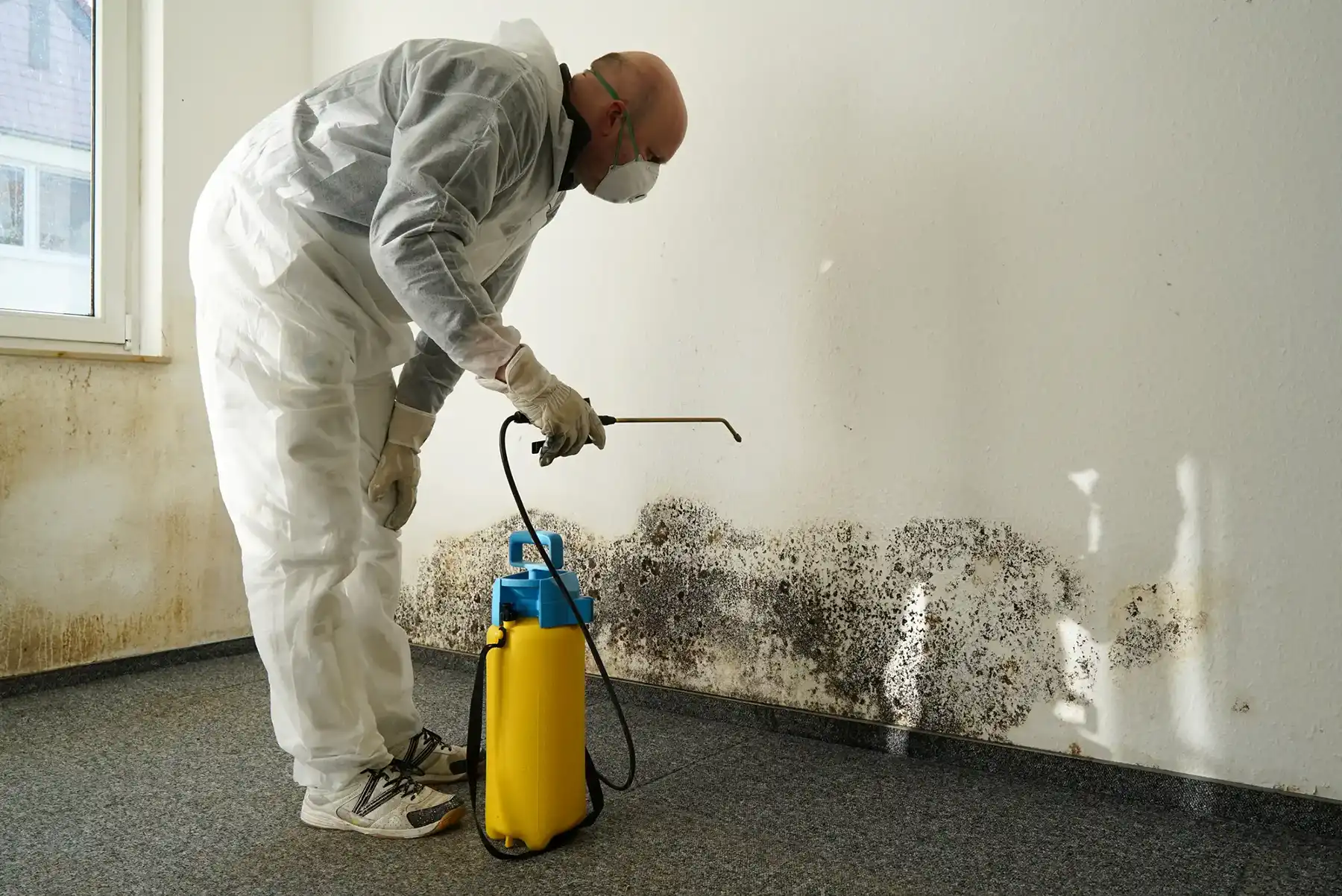 mold_remediation